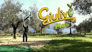 Giulivo Plus  La soluzione più potente per la raccolta delle olive [upl. by Wall]