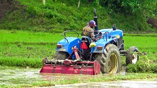 NEW HOLLAND TT55 Tractor  ট্রাক্টরটি কিভাবে পানিতে আটকে গেলো দেখেন  Village Field [upl. by Tebor]