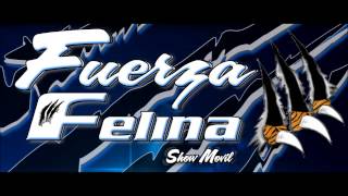 SALSA FUERZA FELINA VOL 1 [upl. by Clayberg858]