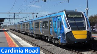 Trains at Cardinia Road  Metro Trains Melbourne [upl. by Alonso]