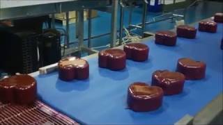 Enrober Cheese Wax Conveyor System [upl. by Cerell]