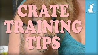 Puppy Crate Training Tips  Fun and Safe [upl. by Adur]