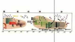 Ligeti  Artikulation [upl. by Nedla]