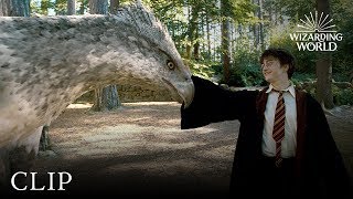 quotBattle of Hogwartsquot  Harry Potter Magical Movie Moments [upl. by Adnuahs]