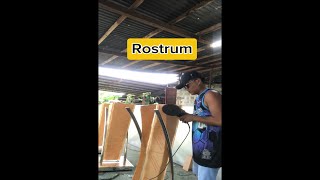 Rostrumstainless buffingpolishing [upl. by Cly]