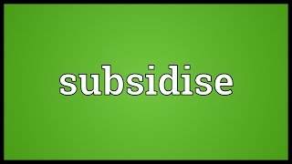 Subsidise Meaning [upl. by Ahsenauq]