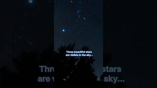 Orion constellation Orion three stars  Orion belt 💫✨🌟 🌠 shorts ytshorts shortfeeds [upl. by Risay680]