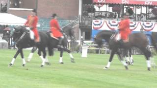 Celle Stallions  Spruce Meadows  2012 [upl. by Gosnell699]