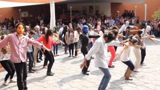 Flashmob Thriller [upl. by Kondon]