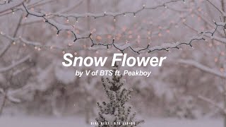 Snow Flower ft Peakboy  V BTS  방탄소년단 English Lyrics [upl. by Bergquist]