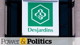 Desjardins data theft affected 42 million says credit union  Power amp Politics [upl. by Jarl]