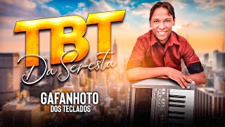 Gafanhoto dos Teclados TBT da Seresta 2022 [upl. by Audris]