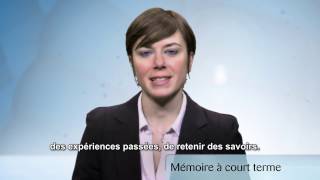 La Mémoire à court terme ou La Mémoire du travail [upl. by Dale]