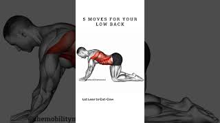 Fix Low Back Pain Fast with These Simple Exercises [upl. by Marlee]