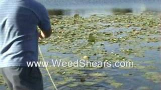 POND WEED CUTTER for removing MILFOIL HYDRILLA CATTAIL LILY PADS [upl. by Decato]