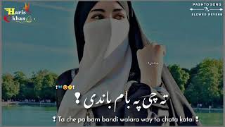 ta che pa baam bandi walara way ta chata katal pashto song slowed  reverb tiktok viral song [upl. by Dorrahs716]