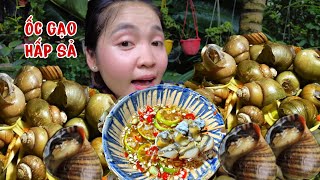 Như Ú Ăn Ốc Gạo Hấp Xã Chấm Nước Mắm Siêu Cay Huyền Thoại  Huỳnh Như Vlogs [upl. by Ellierim972]