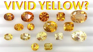 Vivid Yellow Sapphire or Lemon Yellow or Pastel Yellow Understanding Colors of Yellow Sapphires [upl. by Anale]