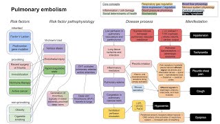 Pulmonary embolism mechanism of disease [upl. by Zobias]