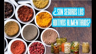 ¿Son seguros los aditivos alimentarios [upl. by Nnyliak]