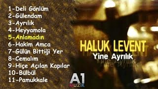 Haluk Levent  Anlamadın [upl. by Barthol]