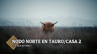 Nodo Norte en TauroCasa 2 en la carta natal ♉🦋 [upl. by Ecnerolf]