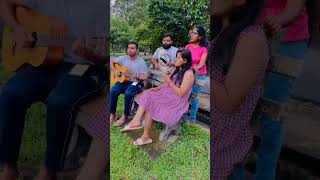 Subscribe කරගෙනම යන්න 🥺මිදුලේ අතන නංගෝ 🥰❤ shorts sinhalacoversongs subscribe coversong [upl. by Arriaet]