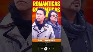 Los Temerarios Mix Exitos 2024  Los Temerarios Puras Romanticas Grandes Exitos lostemerarios [upl. by Aihtekal219]