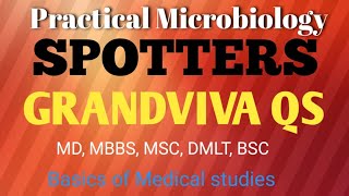 Microbiology Practical MbbsMicrobiology Spotters Mbbs1  Grand viva question 1cbme [upl. by Okomom505]