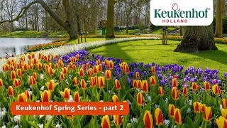 Keukenhof Spring Series part 2  Keukenhof 2021 🌷 [upl. by Raycher860]