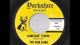 The Dum Dums  Somethin Stupid Yorkshire [upl. by Madancy]