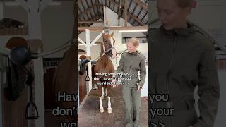 🤪🥳🤣 equestrian horse horses pony pferde cheval hest trending funny horseriding riding [upl. by Aggy156]