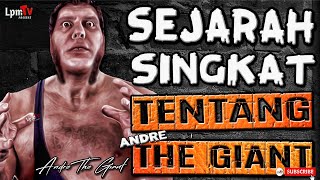 Ini mah raksasa namanya  SEJARAH SINGKAT amp PERJALANAN KARIR TENTANG ANDRE THE GIANT [upl. by Ecyor]