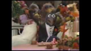 The Muppets  A Celebration of 30 Years TV Special [upl. by Arela]