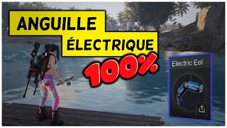 100 CHANCE dAnguille Électrique  Once Human Trucs et Astuces QCFR [upl. by Gnah179]