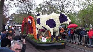 Bloemencorso Bollenstreek 20042024 Deel 56 Hillegom [upl. by Leuqer]