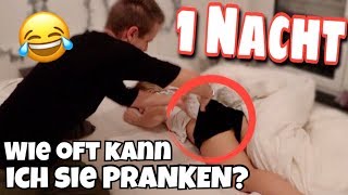 Wie oft kann ich Bibi in 1 Nacht PRANKEN  😲😂  Julienco [upl. by Nyliuqcaj]