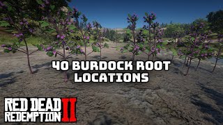 40 Burdock Root Locations in Red Dead Redemption 2 [upl. by Madge674]