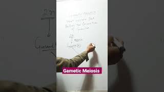 Gametic meiosis Short [upl. by Acey440]