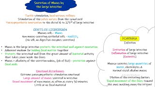 Secretions of Large Intestine Chapter 65 part 10 Guyton and Hall Physiology [upl. by Nereen458]