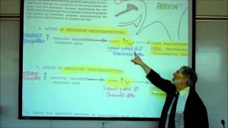 SYNAPTIC TRANSMISSION IN THE CNS PART 1 by Professor Fink [upl. by Nnyrat]