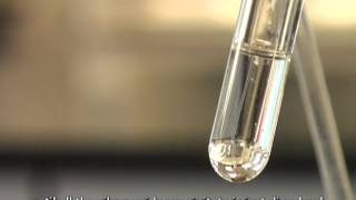 Using Tollens Reagent to Test for Aldehydes Silver Mirror Test [upl. by Pickett]