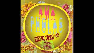 Amapholas Vol10Mixed ByKWiiSH SA [upl. by Jen807]