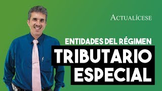 Entidades que califican en el régimen tributario especial y sus beneficios fiscales [upl. by Rather312]