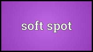 Soft spot Meaning [upl. by Tinaret413]