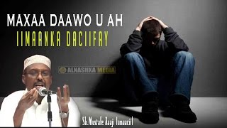 MAXAA DAAWO U AH IIMAANKA DACIIFAY ᴴᴰ┇ShMustafe Xaaji Ismaaciil [upl. by Ahtinak]