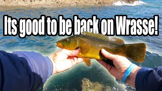 Back wrasse fishing and it feels great [upl. by Shawn535]