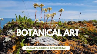 Botanical Painting  Encrusted Saxifrage Livestream [upl. by Remliw824]