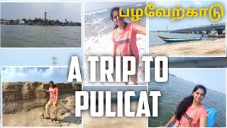 One Day Trip to PulicatTourist Place Near ChennaiPazhaverkaduBird Sanctuaryபழவேற்காடுBoating [upl. by Nesila]