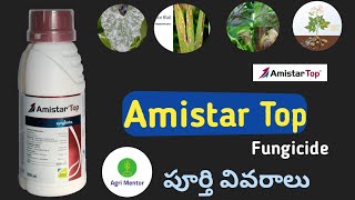 Amistar Top syngenta fungicide telugu  Agri mentor [upl. by Noraf271]